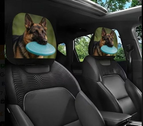 Pair car head - pair, rest