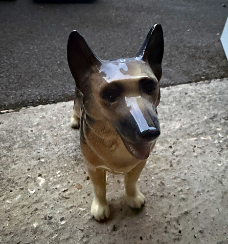 Glazed ceramic alsatian german - glazed,