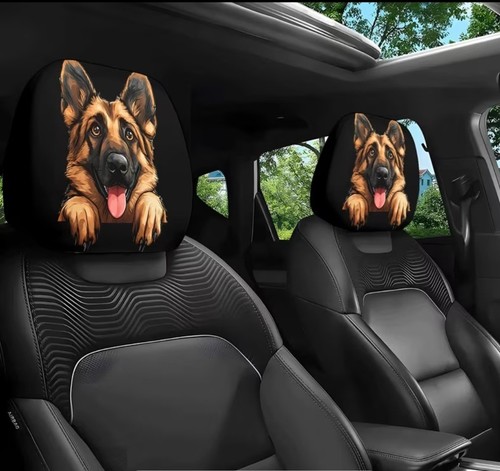 Pair car head rest - of,