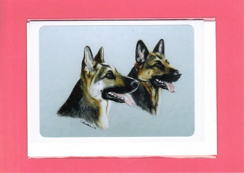 Pair german shepherd dogs - a, of