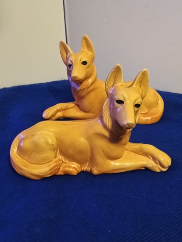 German shepherd dog - shepherd, pair